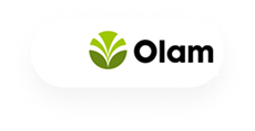 Olam