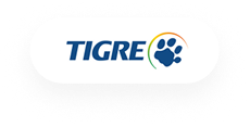 Tigre